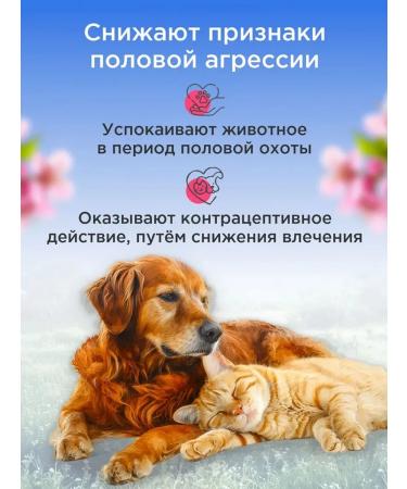 Regulation of estrus estrus and dogs Antisex - Buy Online on GoSupps.com