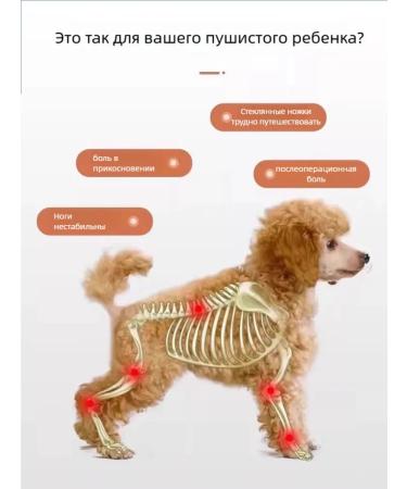 Vitamins for dogs of small breeds of the elderly 180 tablets - Buy Online on GoSupps.com