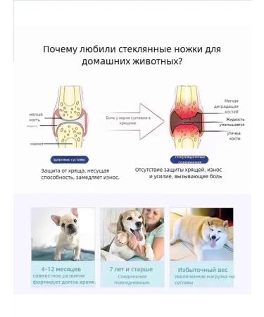 Vitamins for dogs of small breeds of the elderly 180 tablets - Buy Online on GoSupps.com