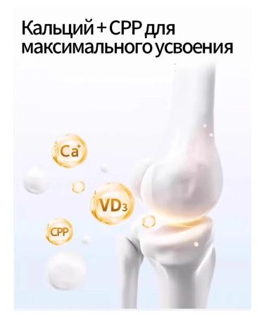 Vitamins for dogs of small breeds of the elderly 180 tablets - Buy Online on GoSupps.com