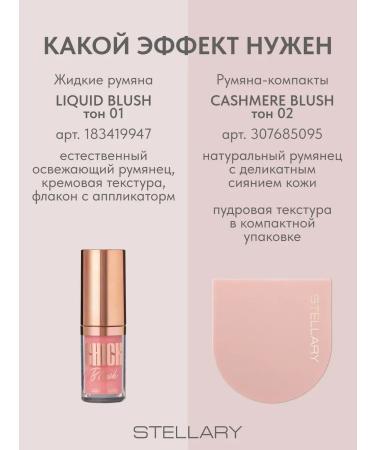 BlusX Facial blush liquid chick blus tone 01 tender rose - Buy Online on GoSupps.com