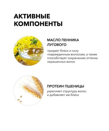 EyebropaintaneyelasheZone Brovy paint and eyelashes shade Cool Light Brown - Buy Online on GoSupps.com