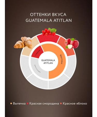 CoffeisolublMax Coffee soluble sublimated Guatemala Atitlan 150 g - Buy Online on GoSupps.com