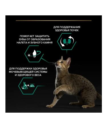 PRO PLAN Feed for sterilized cats with a rabbit 3 kg - Buy Online on GoSupps.com