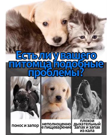 Probiotics for digestion of cats - Buy Online on GoSupps.com