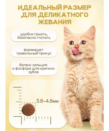 Cosmocat Kittens for kittens dry super premium with lamb 0.8 kg - Buy Online on GoSupps.com