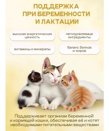 Cosmocat Kittens for kittens dry super premium with lamb 1.8 kg - Buy Online on GoSupps.com