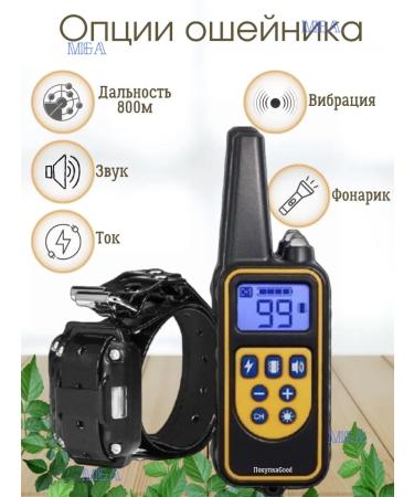 Electric sipper for dogs - Buy Online on GoSupps.com