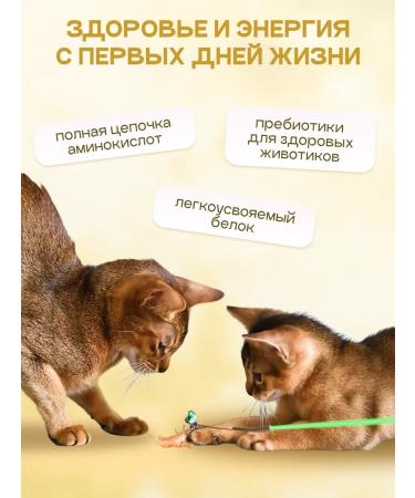 Cosmocat Kittens for kittens dry super premium with a lamb 3.6 kg - Buy Online on GoSupps.com