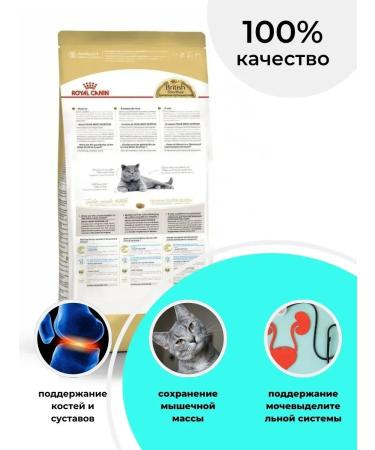 ROYAL CANIN Dry food British Shorthair for British cats 2 kg - Buy Online on GoSupps.com