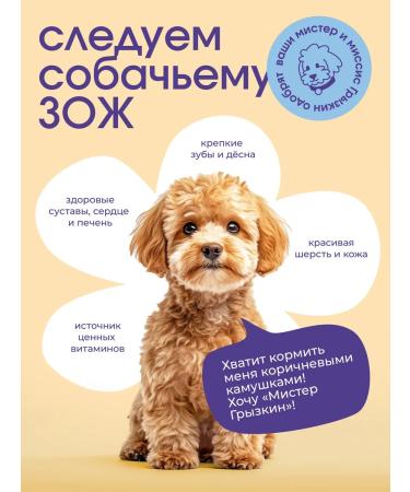 Mr Gryzkin Beef a scar 500 grams. The treats for dogs - Buy Online on GoSupps.com