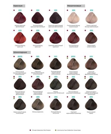 TNL PROFESSIONAL Hair color cream 9.1 Very light Ash Blond 60ml - Buy Online on GoSupps.com