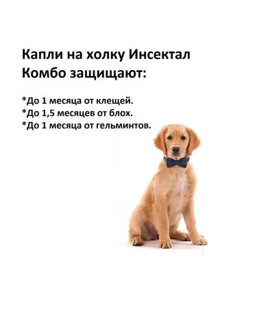 INSECTAL Drops for dogs from 4 to 10 kg from ticks fleas helminths - Buy Online on GoSupps.com