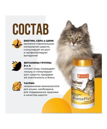 Neoterica Vitamins improves the condition of the skin and coat for cats 120 tab - Buy Online on GoSupps.com