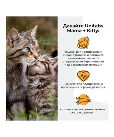 Neoterica Vitamins for kittens pregnant and nursing cats 120 tab - Buy Online on GoSupps.com