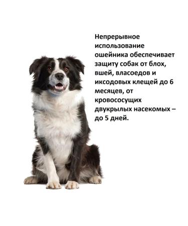 Rolf Club 3D 3D R434 collar for dogs of medium breeds from ticks fleas 65cm - Buy Online on GoSupps.com