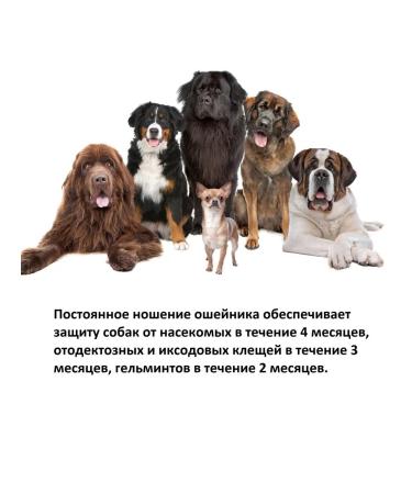 EcoProm Collar for large dogs from inner and outer parasites - Buy Online on GoSupps.com