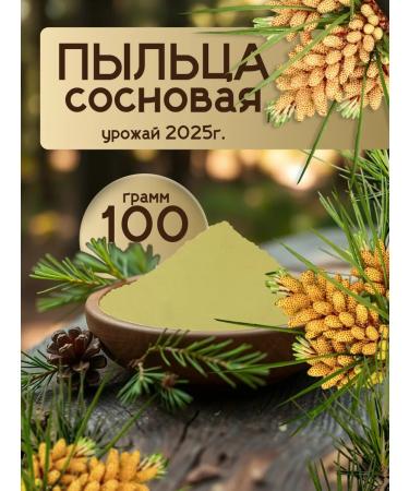 Pine pollen from the mountains of Dagestan