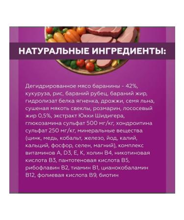 rising dog Dry food for dogs of small rocks 10 kg - Buy Online on GoSupps.com