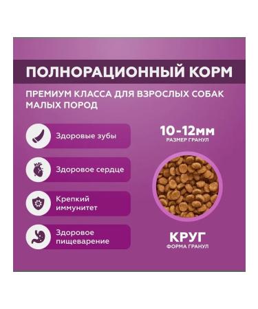 rising dog Dry food for dogs of small rocks 10 kg - Buy Online on GoSupps.com