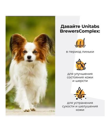 Neoterica Vitamins with beer yeast for small dogs 100 tab - Buy Online on GoSupps.com