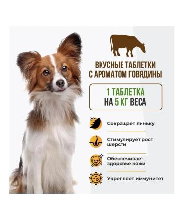 Neoterica Vitamins with beer yeast for small dogs 100 tab - Buy Online on GoSupps.com