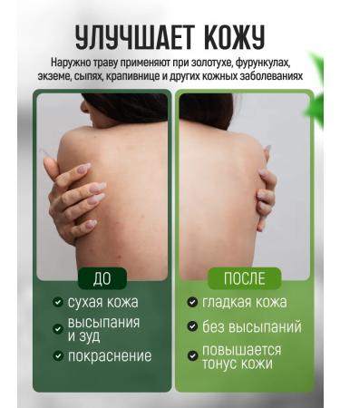 bee lab Yasnotka grass 25 gr. - Buy Online on GoSupps.com
