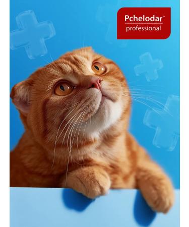 Beekeeper Fenpraz Forte anthelmintic tablets for cats and kittens (6 tablets) - Buy Online on GoSupps.com