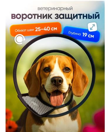 Veterinary protective collar for dogs No. 2
