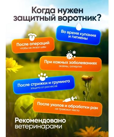 Veterinary protective collar for dogs No. 2 - Buy Online on GoSupps.com