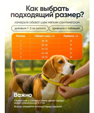 Veterinary protective collar for dogs No. 2 - Buy Online on GoSupps.com