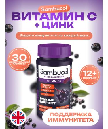 Sambucol Vitamin C and zinc for immunity Black Elderberry Vitamin C+Z ...