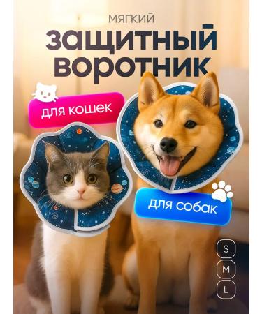 Protective collar for cats and dogs veterinary