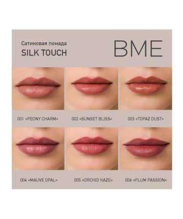 Sitin lipstick Silk Touch Plum Passion - Buy Online on GoSupps.com