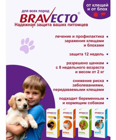 bravecto Dog tablets 10-20 kg period 08.2026 - Buy Online on GoSupps.com