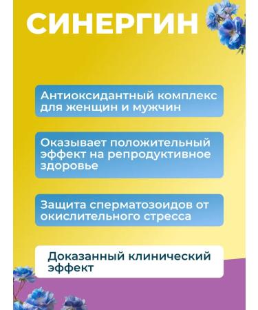 AKVION Synergin to support reproductive health 60 capsules - Buy Online on GoSupps.com