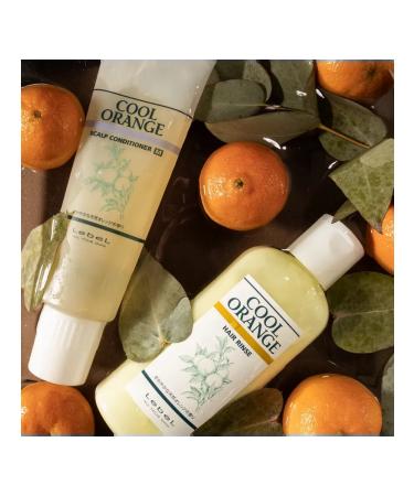 LebeL Orange Scalp Conditioner M Cleaner 240 g - Buy Online on GoSupps.com
