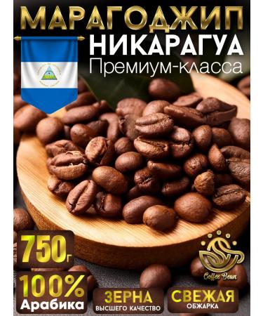 Coffee Bean Coffee in 750 Grands Maragogajip Nicaragua Arabica 100%