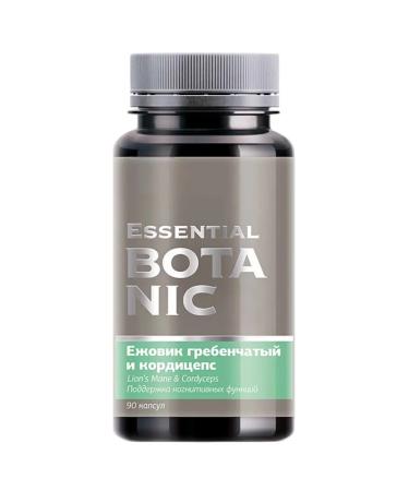 Siberian immunity Ezhovik creped and cordyceps 90k