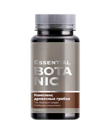 Siberian immunity Complex of wood mushrooms to support immunity 60k