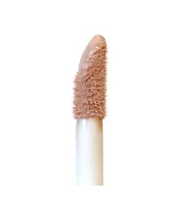 TF Cosmetics Face concealer tone 205 honey beige 7 ml - Buy Online on GoSupps.com