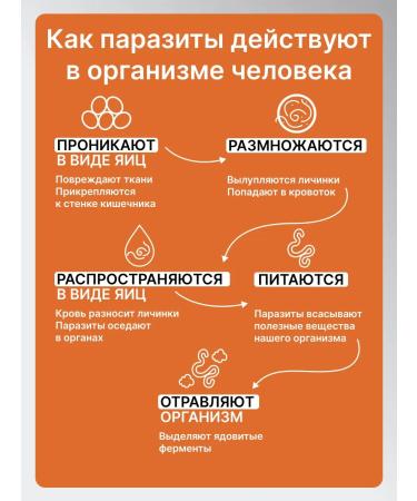 Add Altai Fungo detox with chanterelles getting rid of parasites - Buy Online on GoSupps.com