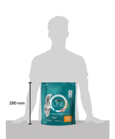 PURINA ONE Dry food for sterilized cats with chicken purin 750 g - Buy Online on GoSupps.com