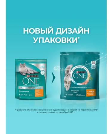 PURINA ONE Dry food for sterilized cats with chicken purin 750 g - Buy Online on GoSupps.com