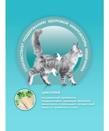 PURINA ONE Dry food for sterilized cats with chicken purin 750 g - Buy Online on GoSupps.com