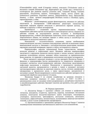 Neoterica Drops for dogs 25-40kg 3 pipettes - Buy Online on GoSupps.com