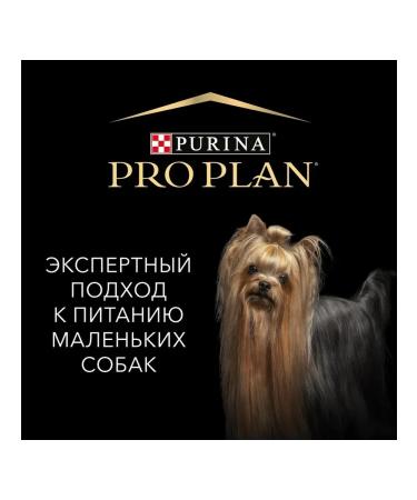 Purina Pro Plan Wet food for adult dogs plowing with salmon 85 gr. - Buy Online on GoSupps.com