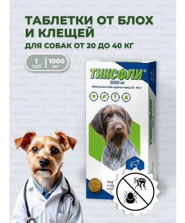 Tixfli 1000mg for dogs of large rocks 20-40kg 1 tab