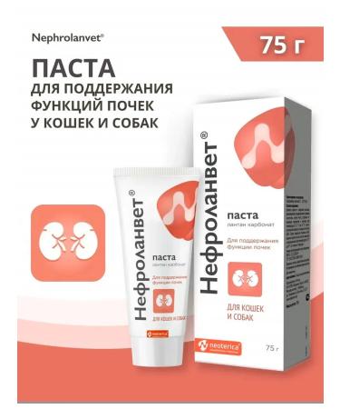 Neoterica Nephrosette paste for dog kidneys and cats 75 ml - Buy Online on GoSupps.com