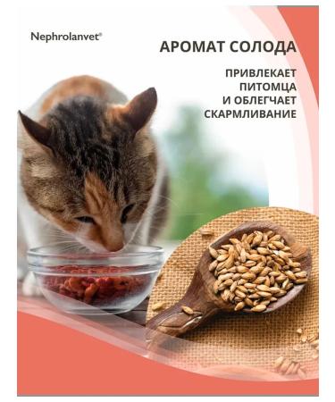Neoterica Nephrosette paste for dog kidneys and cats 75 ml - Buy Online on GoSupps.com